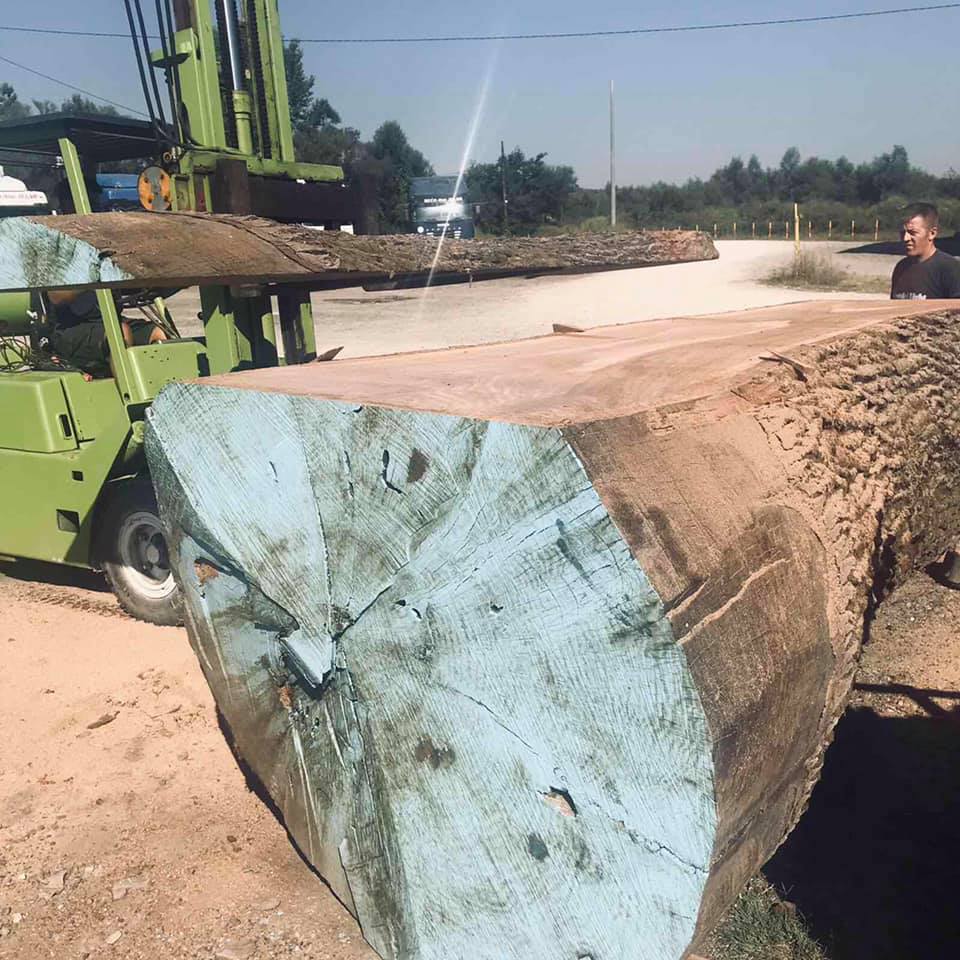 o1/Procurement of Logs